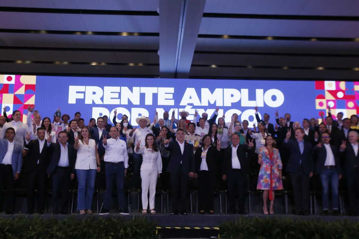 Frente amplio por México. │Ariana Pérez