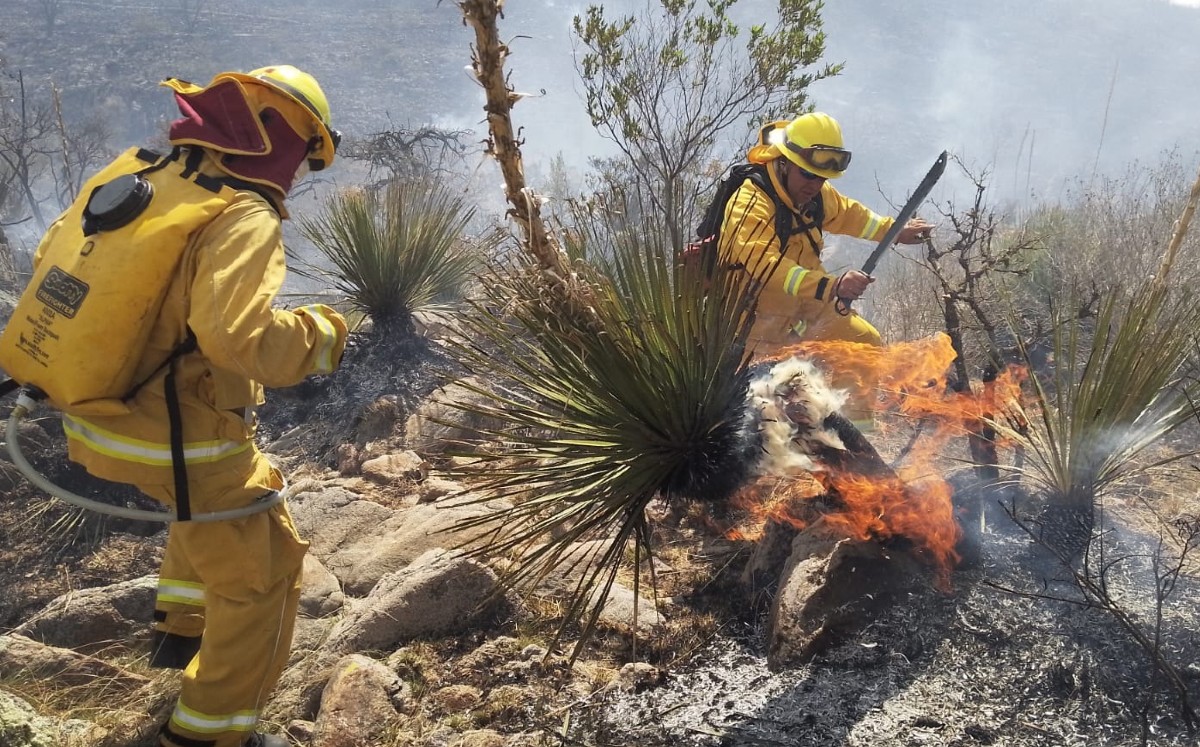 Incendios afectan 480 hectáreas de Áreas Naturales Protegidas de Guanajuato | Cortesía