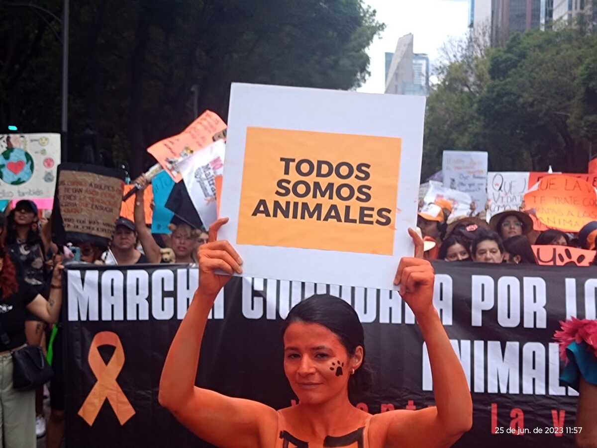 Lo manifestantes pidieron se castigue a maltratadores de animales. | Especial