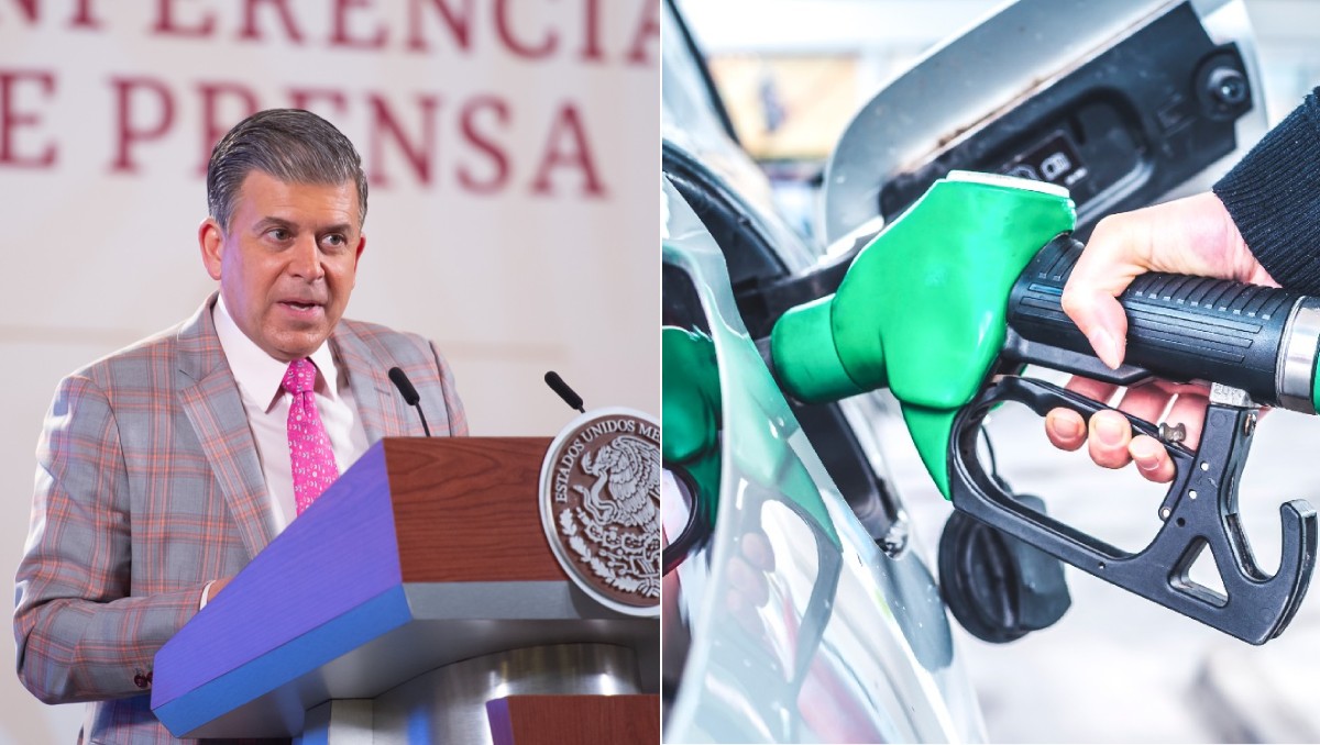 El titular de la Profeco dijo que el precio promedio para ese tipo de gasolina es de 22.32 pesos por litro. (Especial / Pixabay)