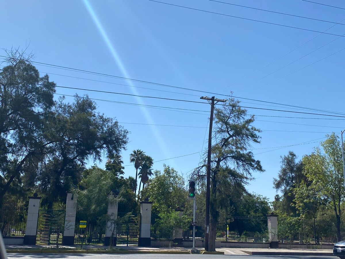 Bosque Venustiano Carranza en Torreón. | Especial