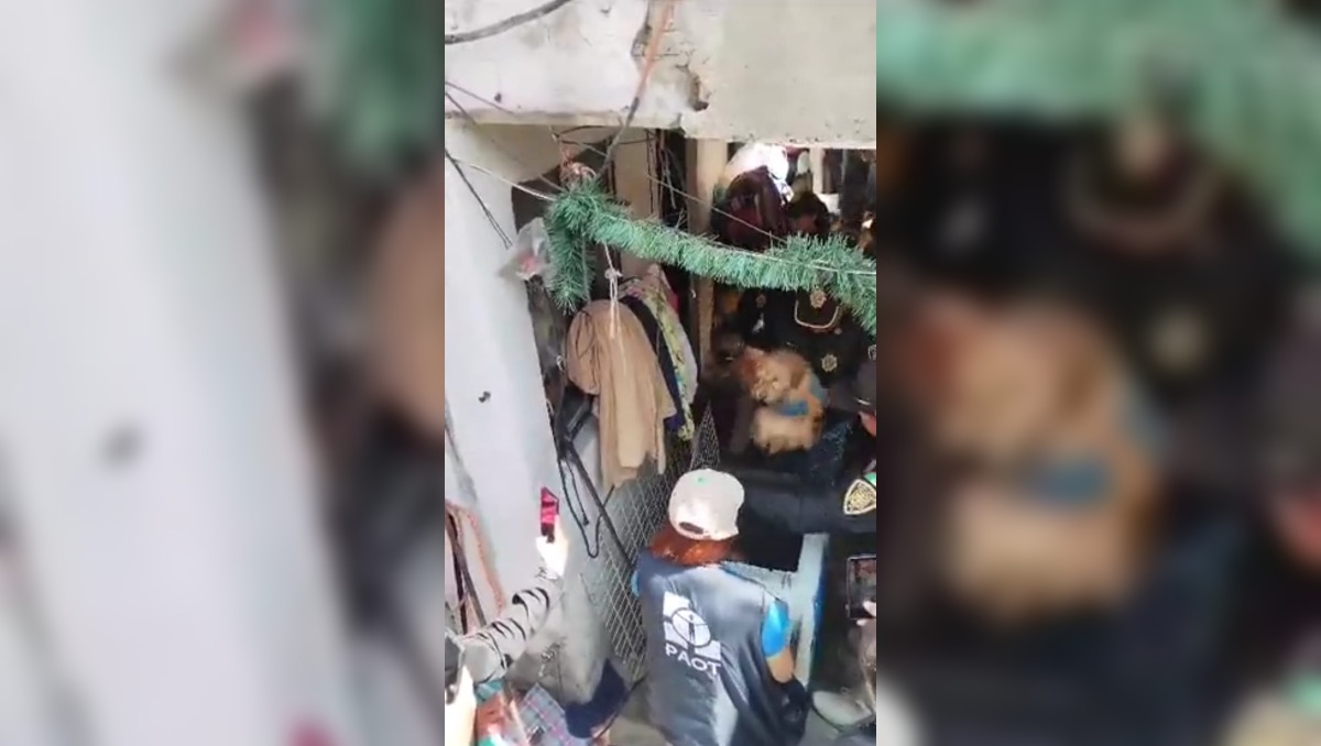 Brigada de Vigilancia Animal recate
