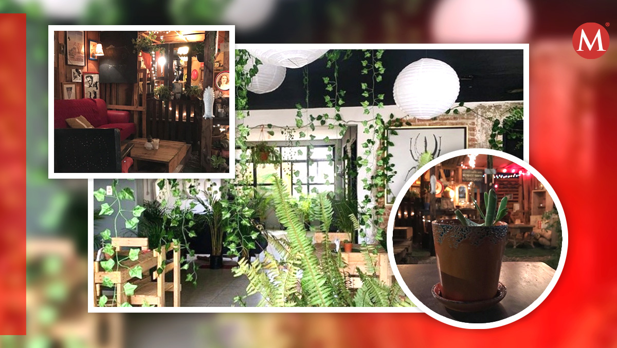 Cafeterías para los amantes de las plantas en León