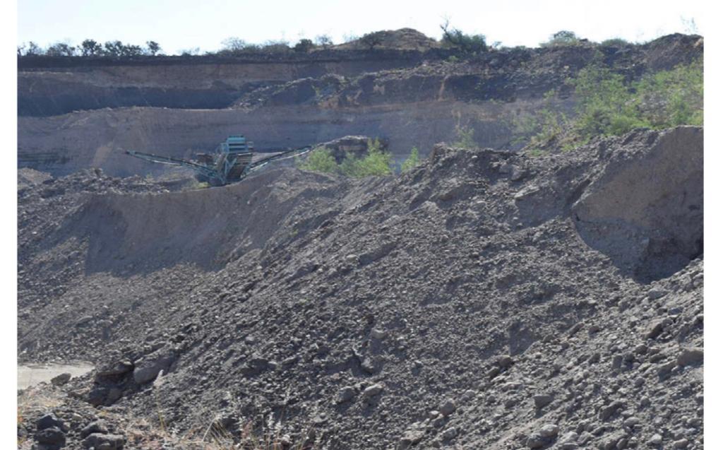 La explotación mineral impacta en la flora y fauna de la zona, agravando la problemática por la pérdida de hábitats. (Francisco Villeda)