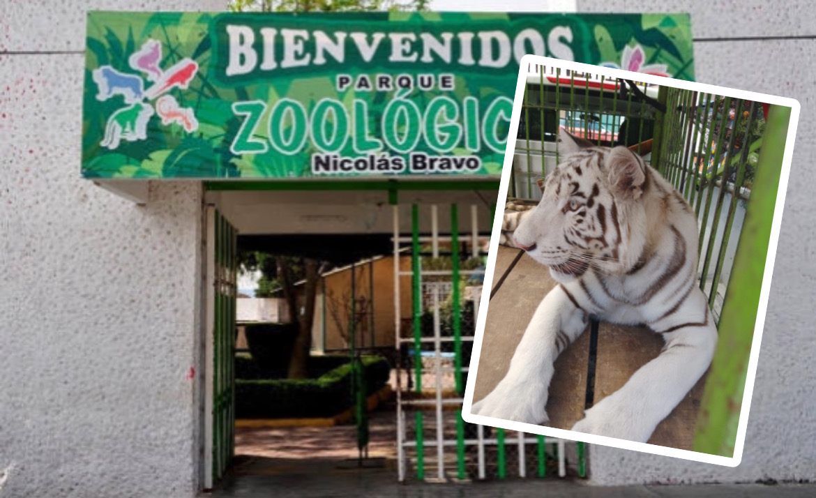 Zoológico de Tulancingo.