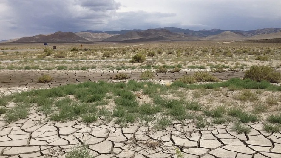 Altas temperaturas dañan 700 hectáreas de cultivo mexiquense