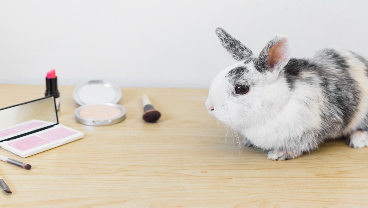 Canadá prohíbe la experimentación animal en animales | Freepik (archivo)