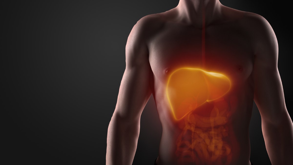 Estudian innovador tratamiento para el cáncer de hígado | Shutterstock