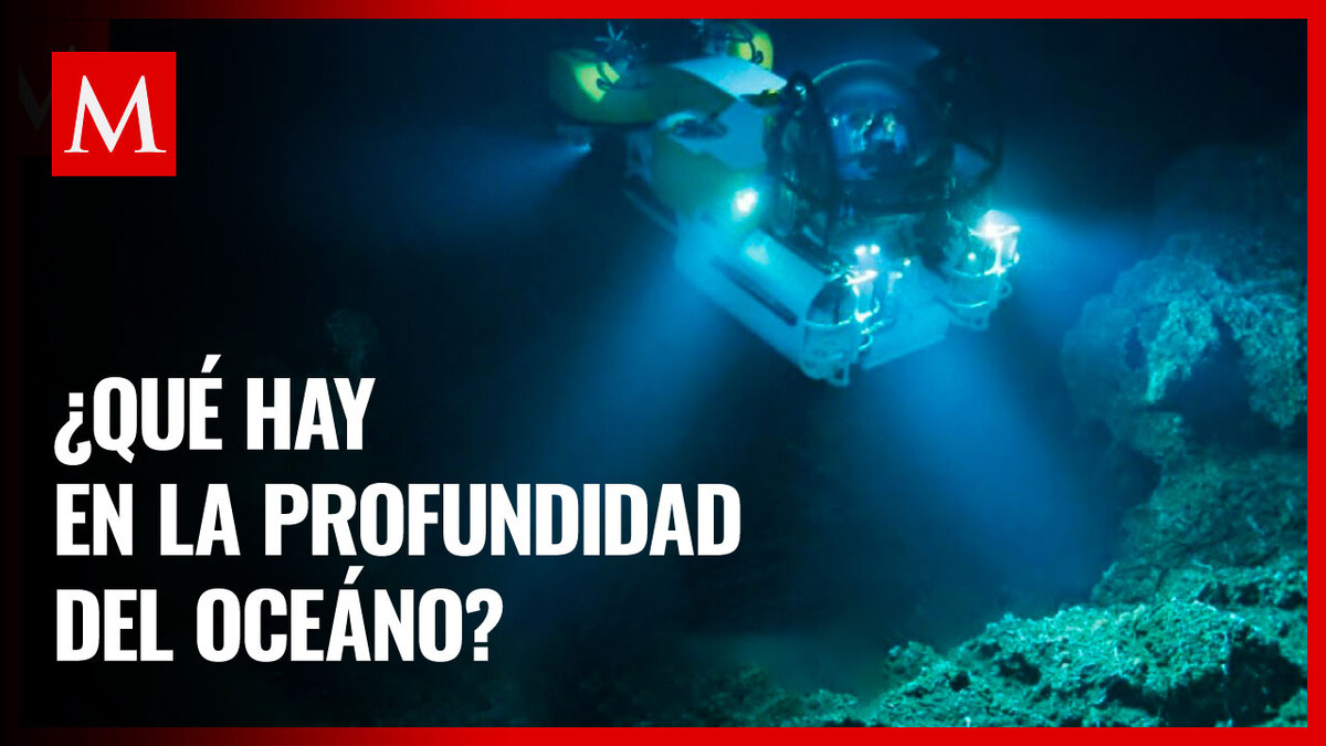Explorando las Profundidades: desafíos y maravillas del océano