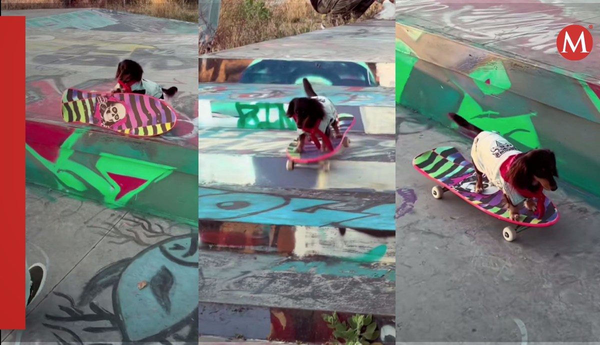 Perrito en patineta / TikTok