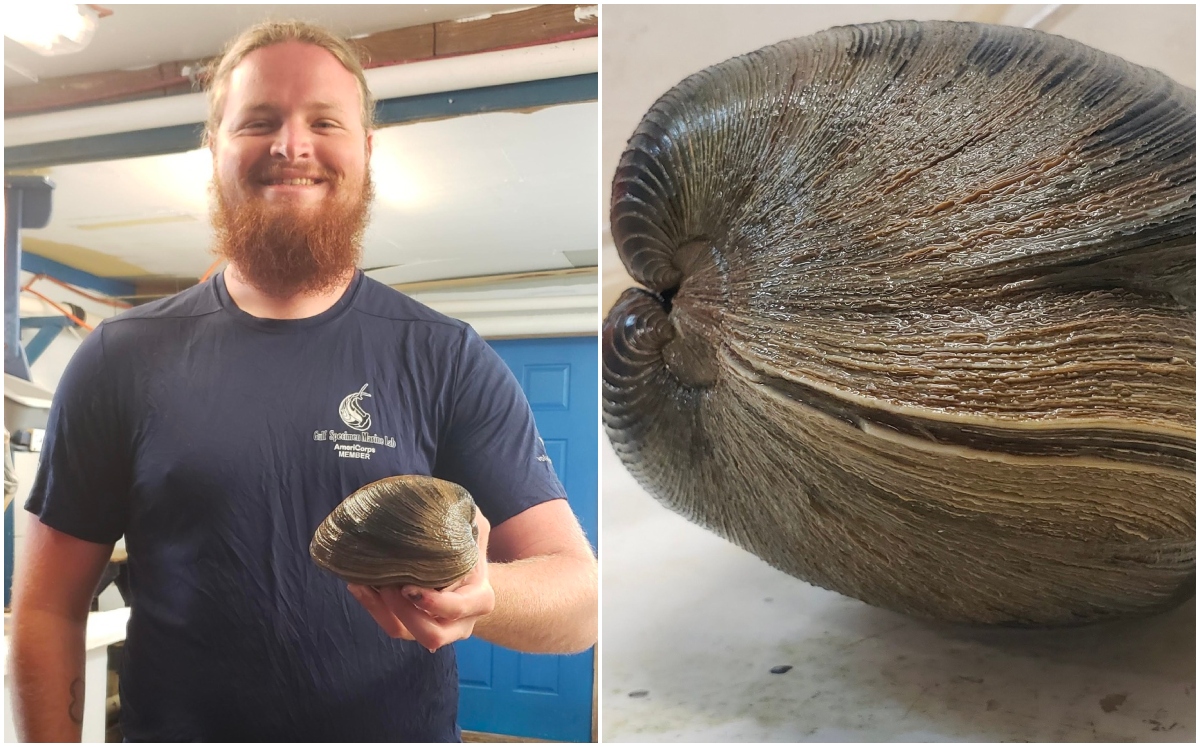 Blaine Parker estaba listo para usar la almeja en su comida diaria. | Gulf Specimen Marine Lab