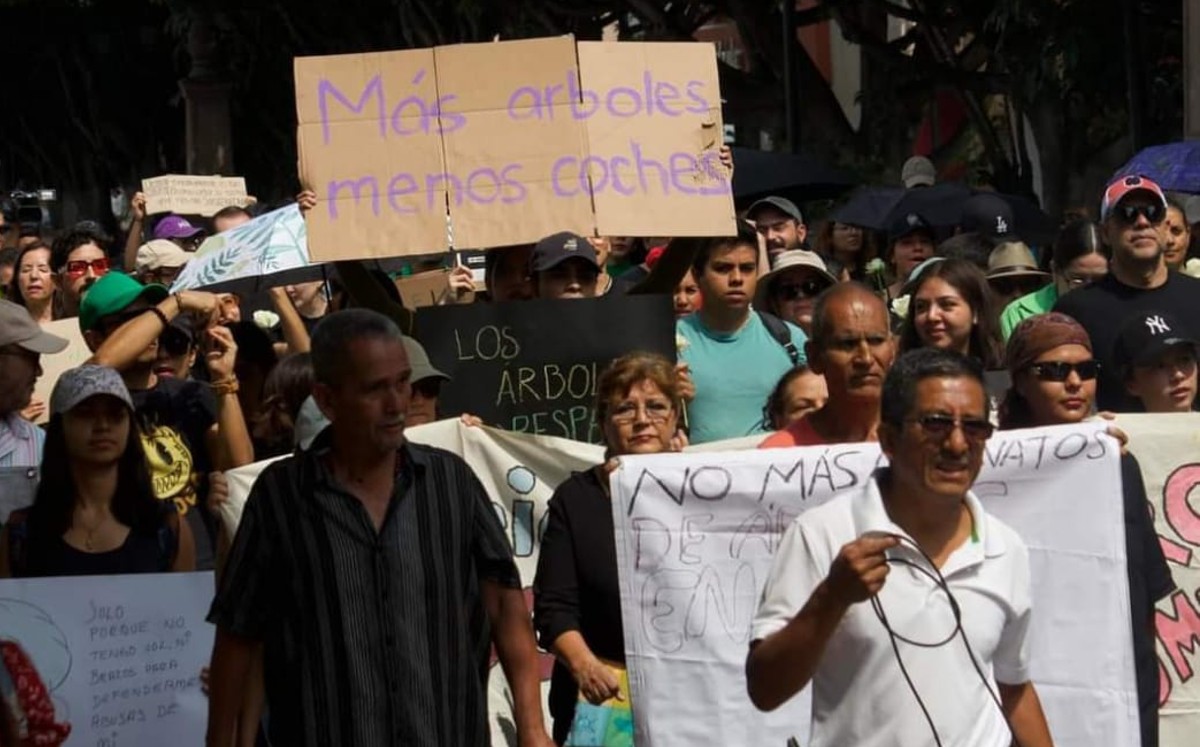 Marcha por tala de árboles en León | Adrián Martínez