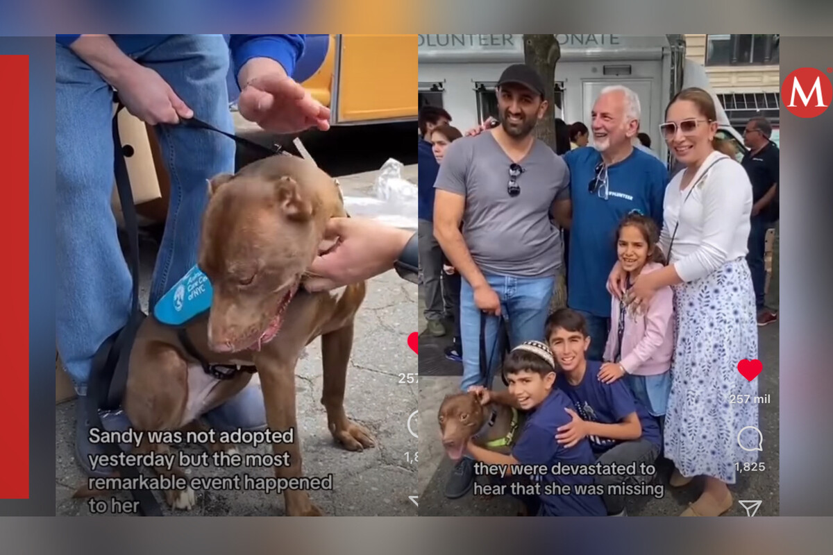 Un perrito perdido se reencuentra con su familia en un evento de adopción