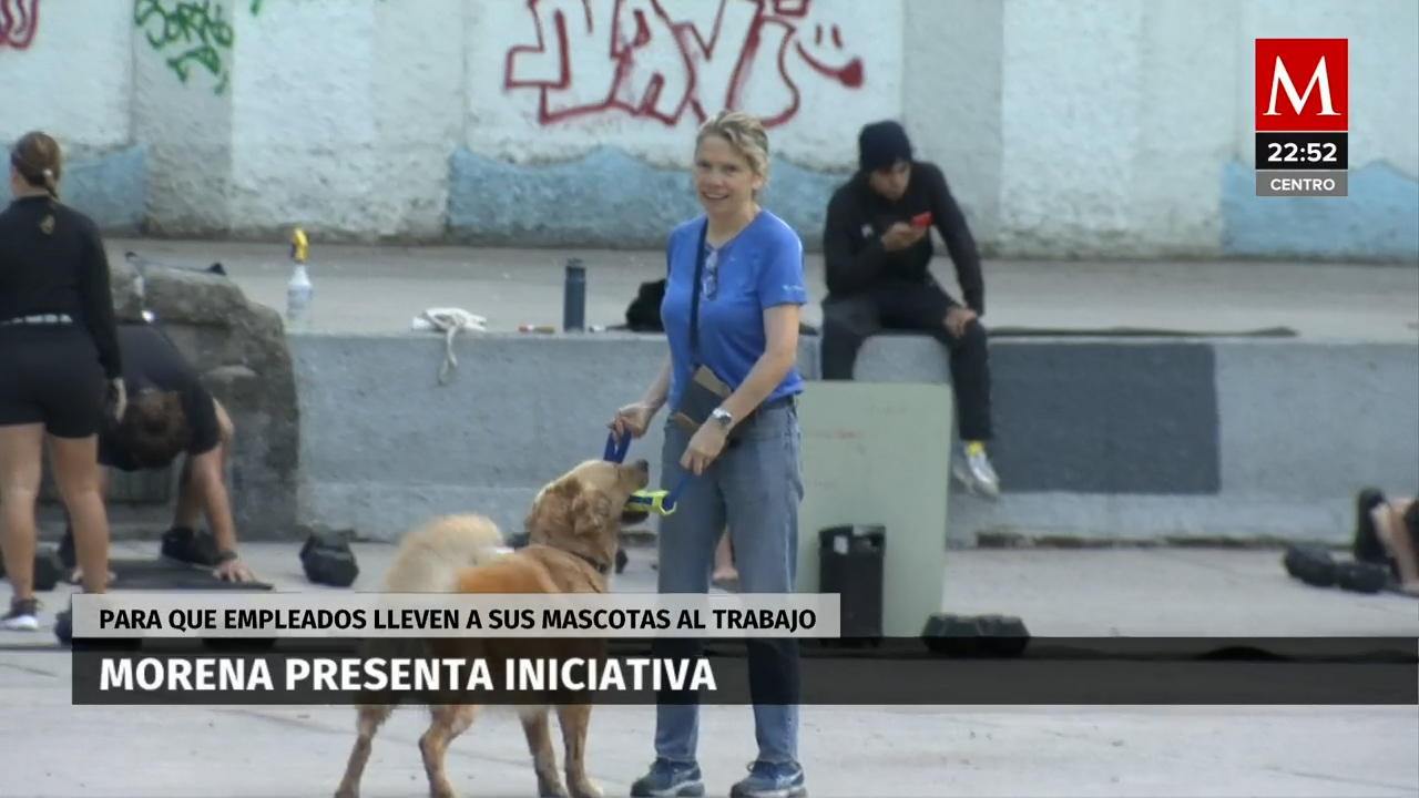 Propuesta de MORENA para promover la presencia de mascotas en los lugares de trabajo