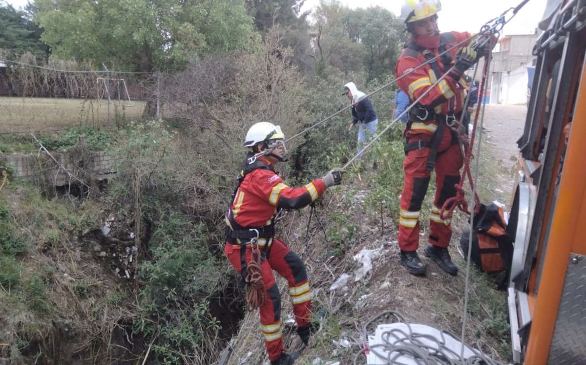 Rescatan a perro y gato de peligro en Puebla | Especial