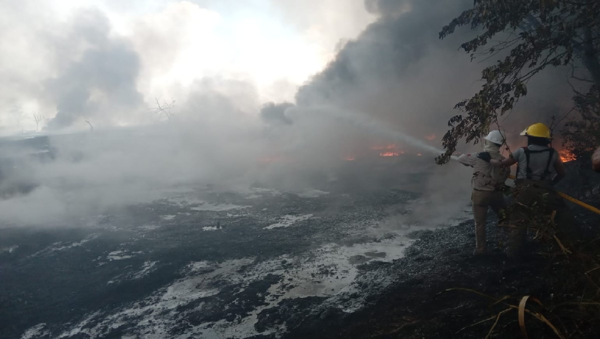 En Tabasco, derrame de hidrocarburo ocasiona daños ecologícos en cinco hectáreas. | Especial