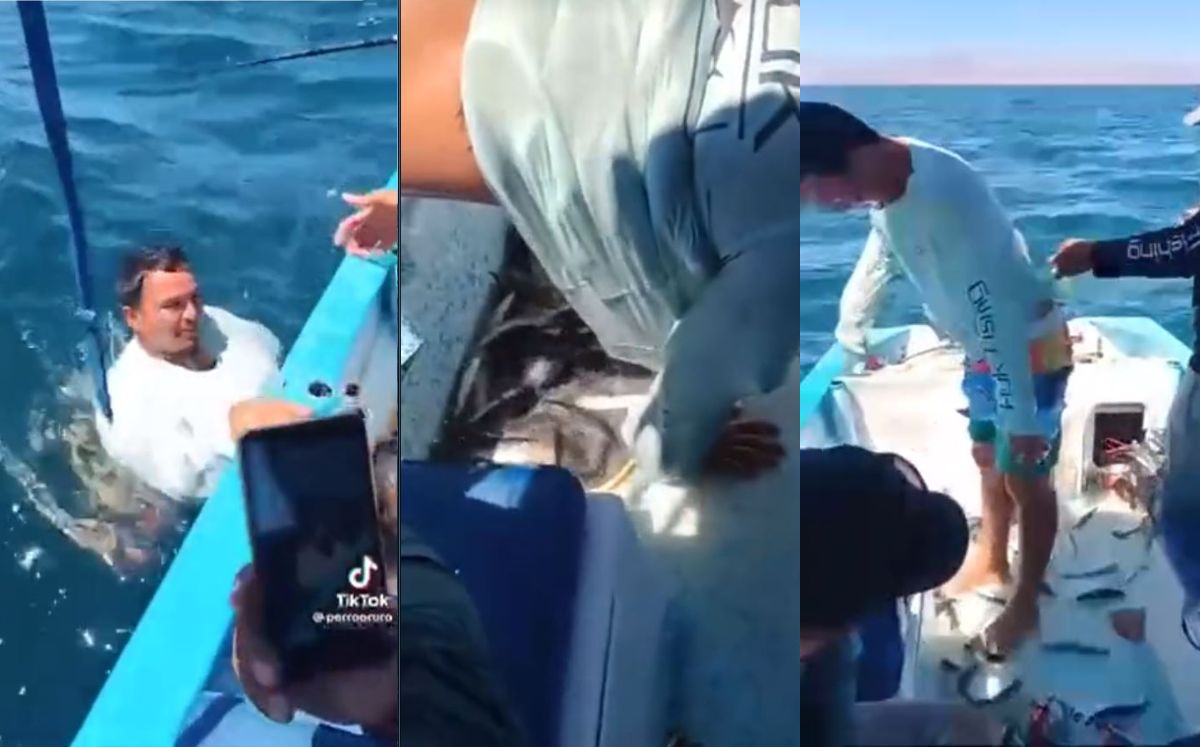 El curioso suceso habría ocurrido en Baja California Sur.