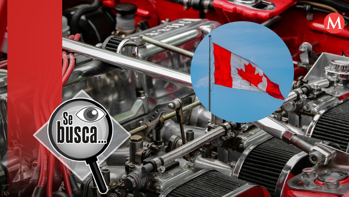Para aplicar a la vacante en Canadá se llevará un proceso de reclutamiento en la que se revisará tu documentación. Foto: (Pixabay)