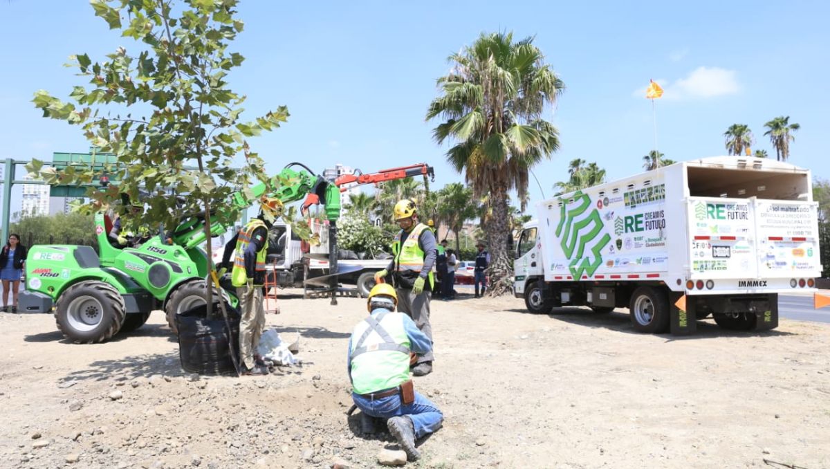 Félix Arratia busca dar espacio a la plantación de árboles. Raúl Palacios
