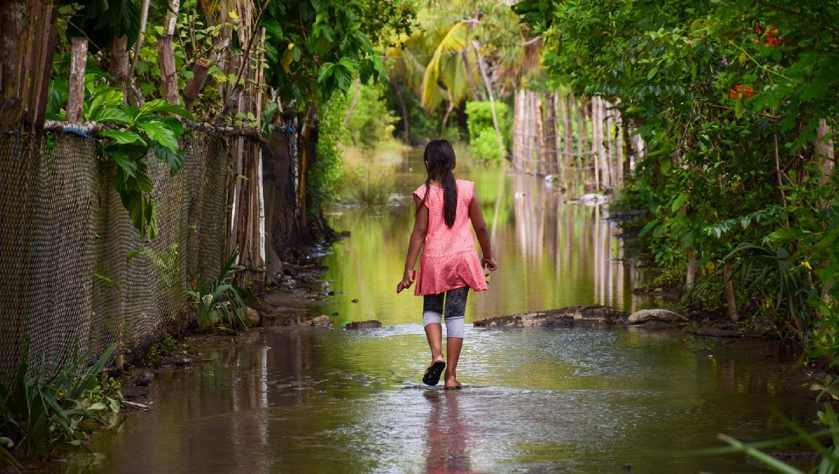 Inundación en el ejido La Cigüeña en Tapachula, Chiapas. | Cuartoscuro