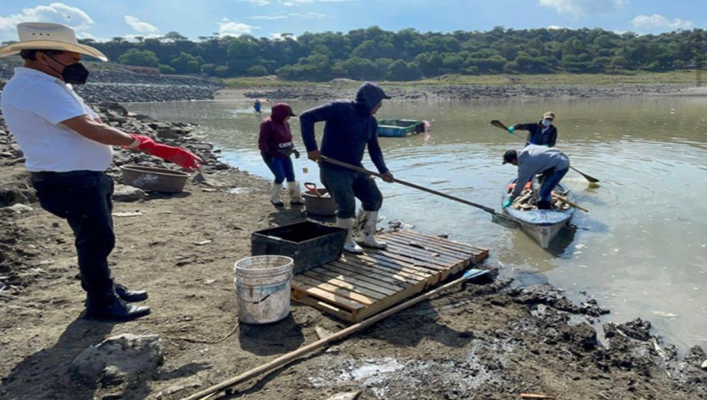 Pescadores reportan pérdidas económicas de 80 millones de pesos. (Francisco Villeda)