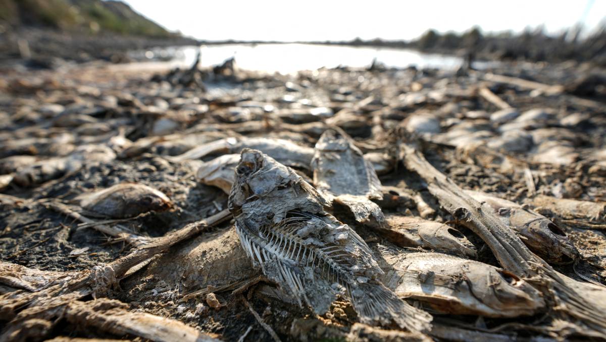 La sequía afecta varios puntos del planeta. (AFP).