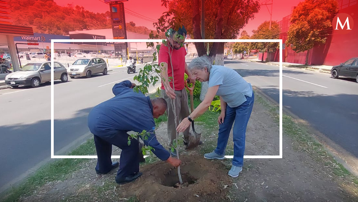 Allí habitan, ejemplares de Halcón Peregrino.