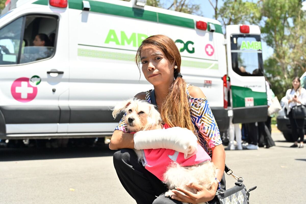 Las nuevas Ambudog están equipadas con un quirófano móvil | Especial