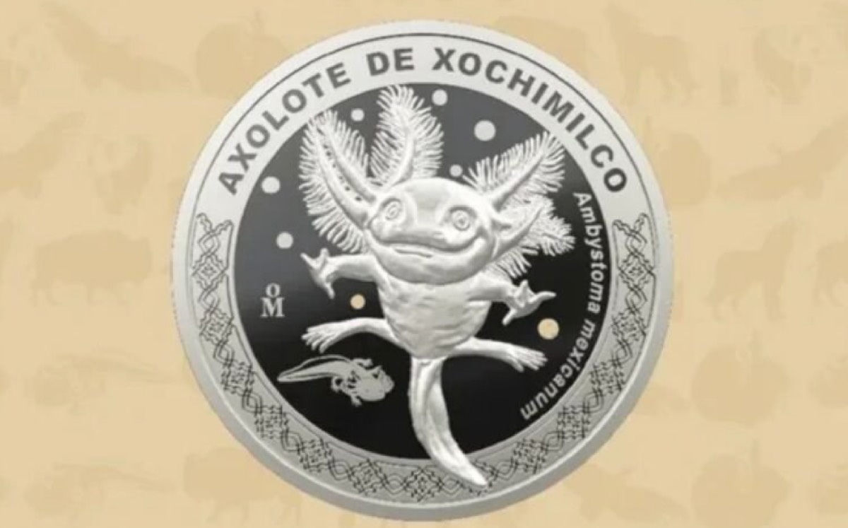 Nueva moneda del ajolote| Especial