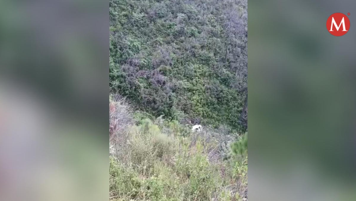 El vehículo cayó al menos 100 metros de profundidad. Foto: Especial