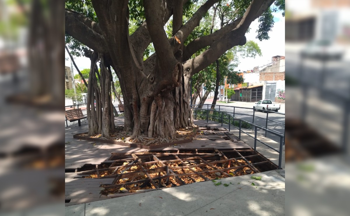 Reportan mal estado del Parque Lineal de Normalistas en Guadalajara (Enrique Vázquez)
