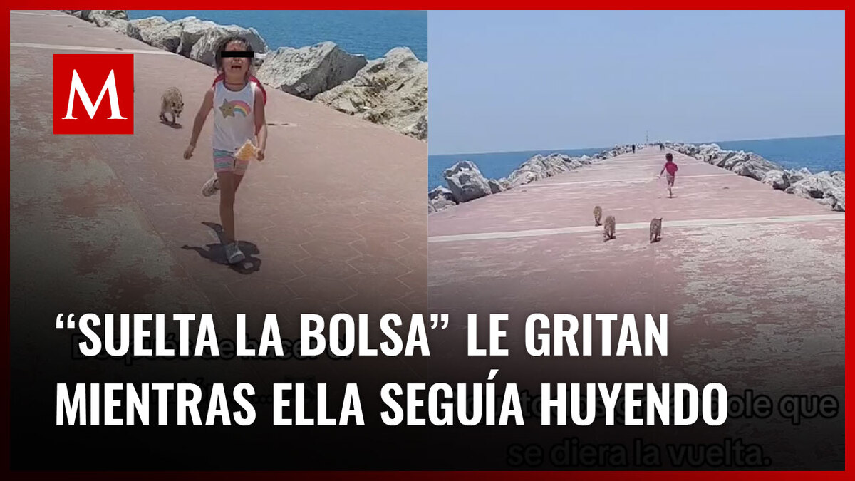 Una menor fue perseguida por mapaches en una playa de Tamaulipas, por lo que se volvió viral