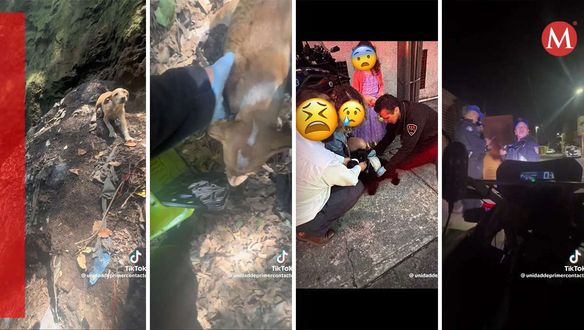 Unidad de primer contacto en la Magdalena Contreras para perros y gatos (@unidadeprimercontacto)