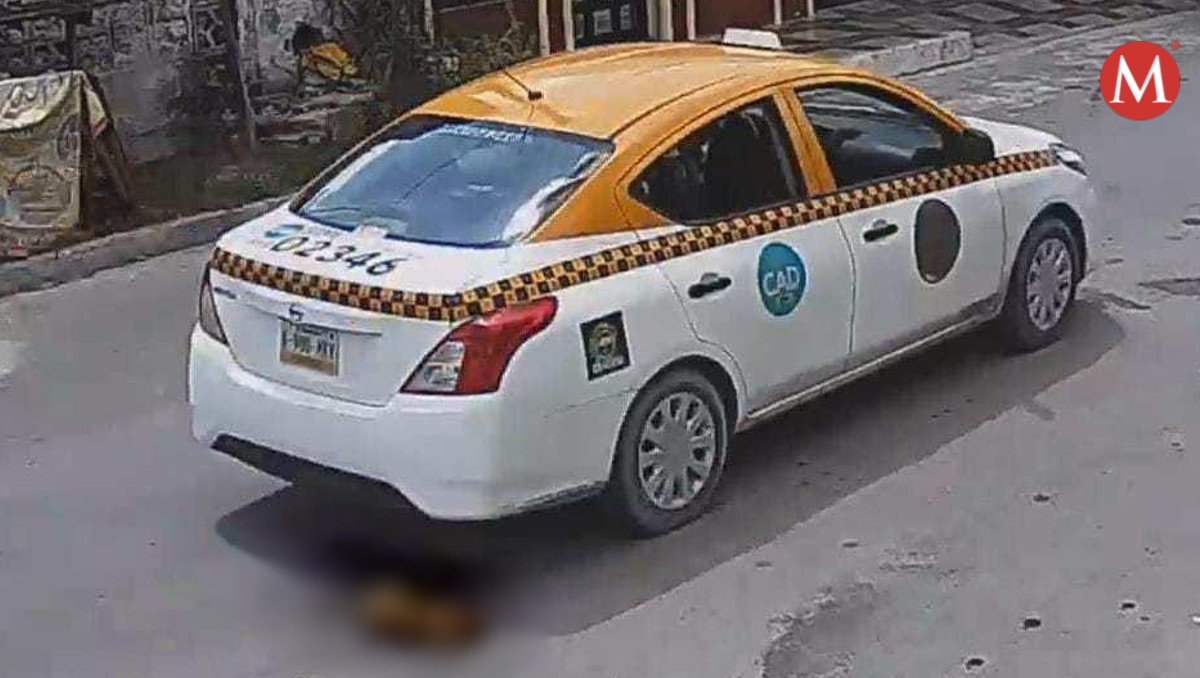 El conductor que mató al animal siguió su camino sin detenerse. Foto: Especial