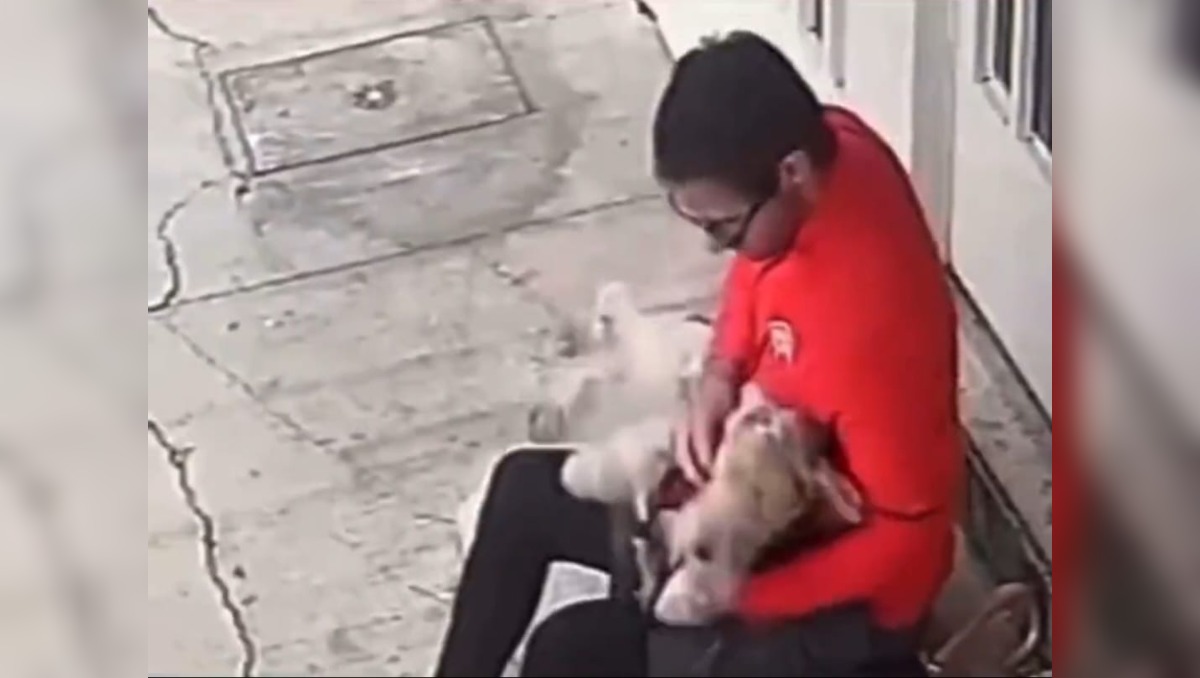 Hombre golpea a perrito en la alcaldía Benito Juárez