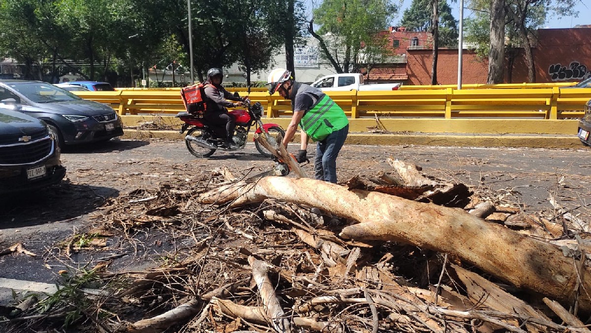 Realizan acciones para liberar los carriles del Circuito Interior en CdMx (Carlos Tejeda)