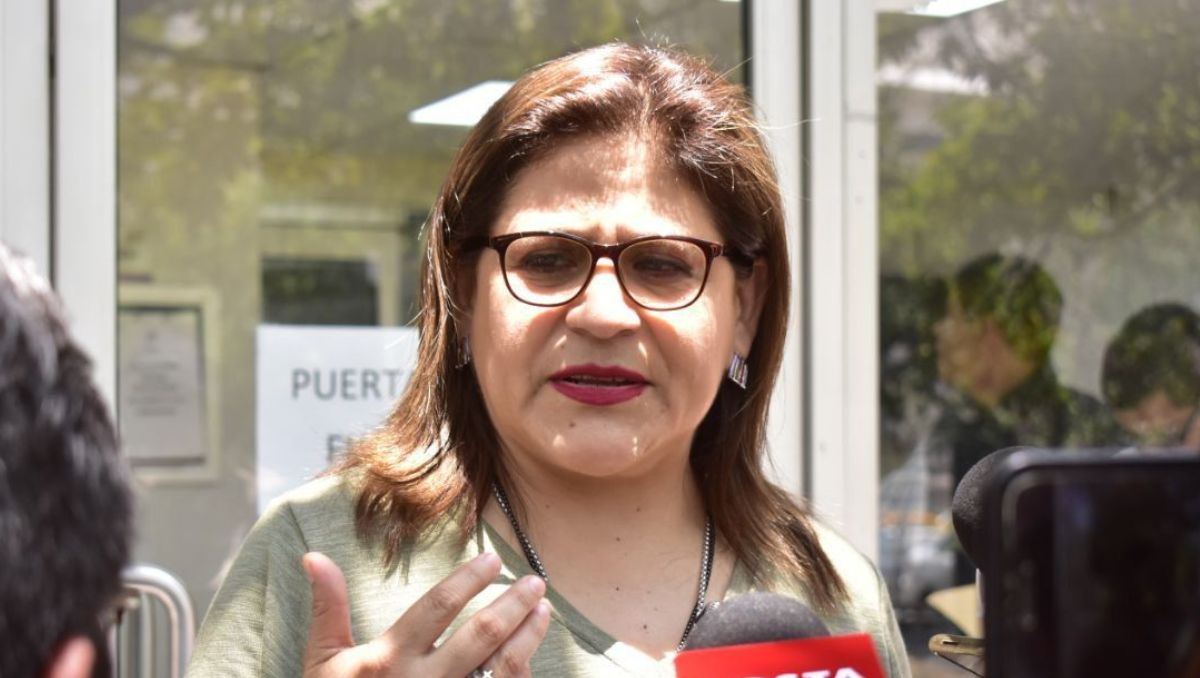 Sandra Pámanes, vicecoordinadora de Movimiento Ciudadano en el Congreso. Kevin Recio