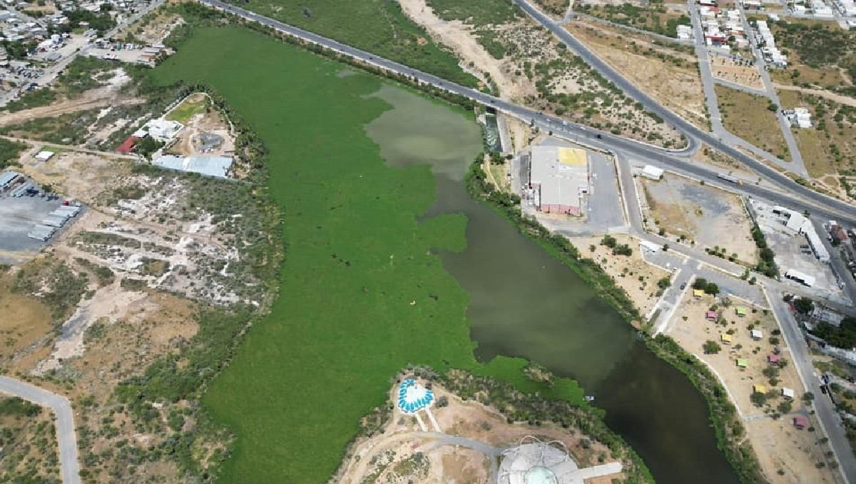 Saneamiento de aguas