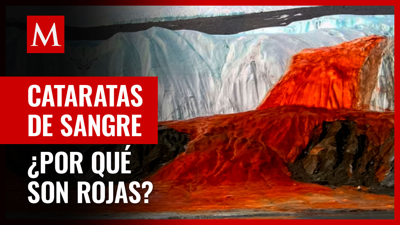 ¿Qué son las Cataratas de Sangre que aparecieron en la Antártida?