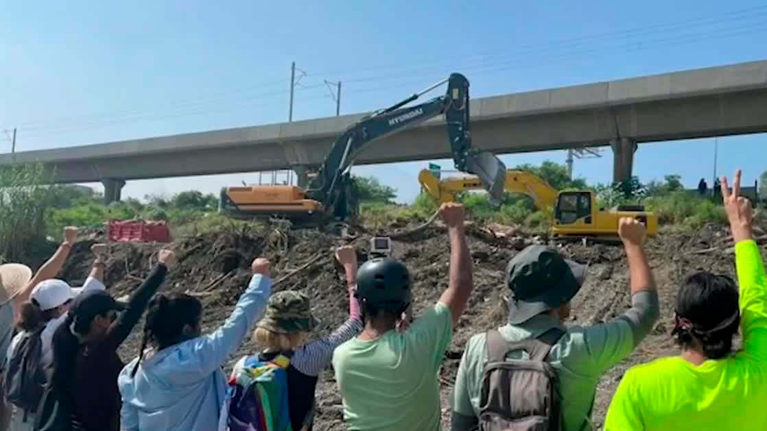 Realizan protestas para denunciar la tala de árboles en distintas partes del país