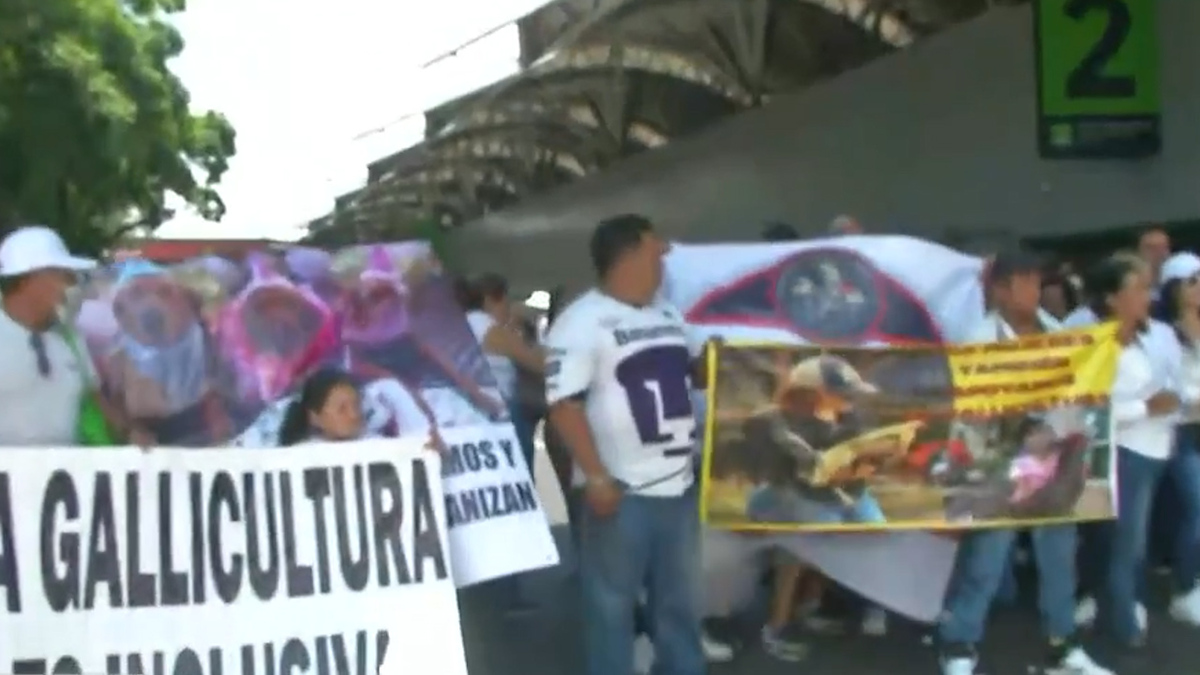 En CdMx, galleros bloquean la Terminal 1 del AICM