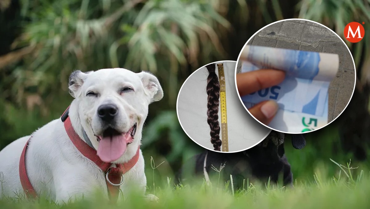 Joven vende su cabello para comprar medicamento para su mascota