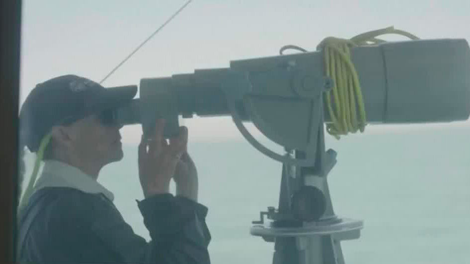 ¿Qué se sabe sobre el posible avistamiento de ejemplares de vaquita marina por parte de la Semar?