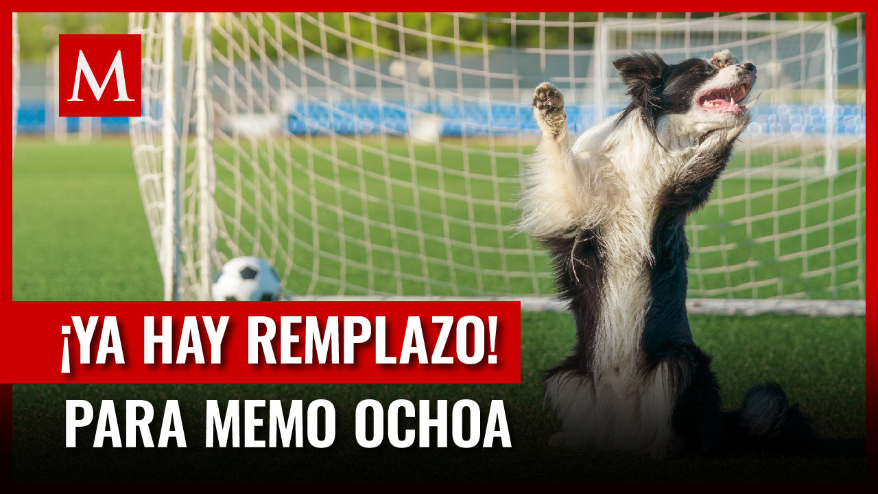 ¡Tiembla Ochoa! Perrito se vuelve viral por ser un excelente portero