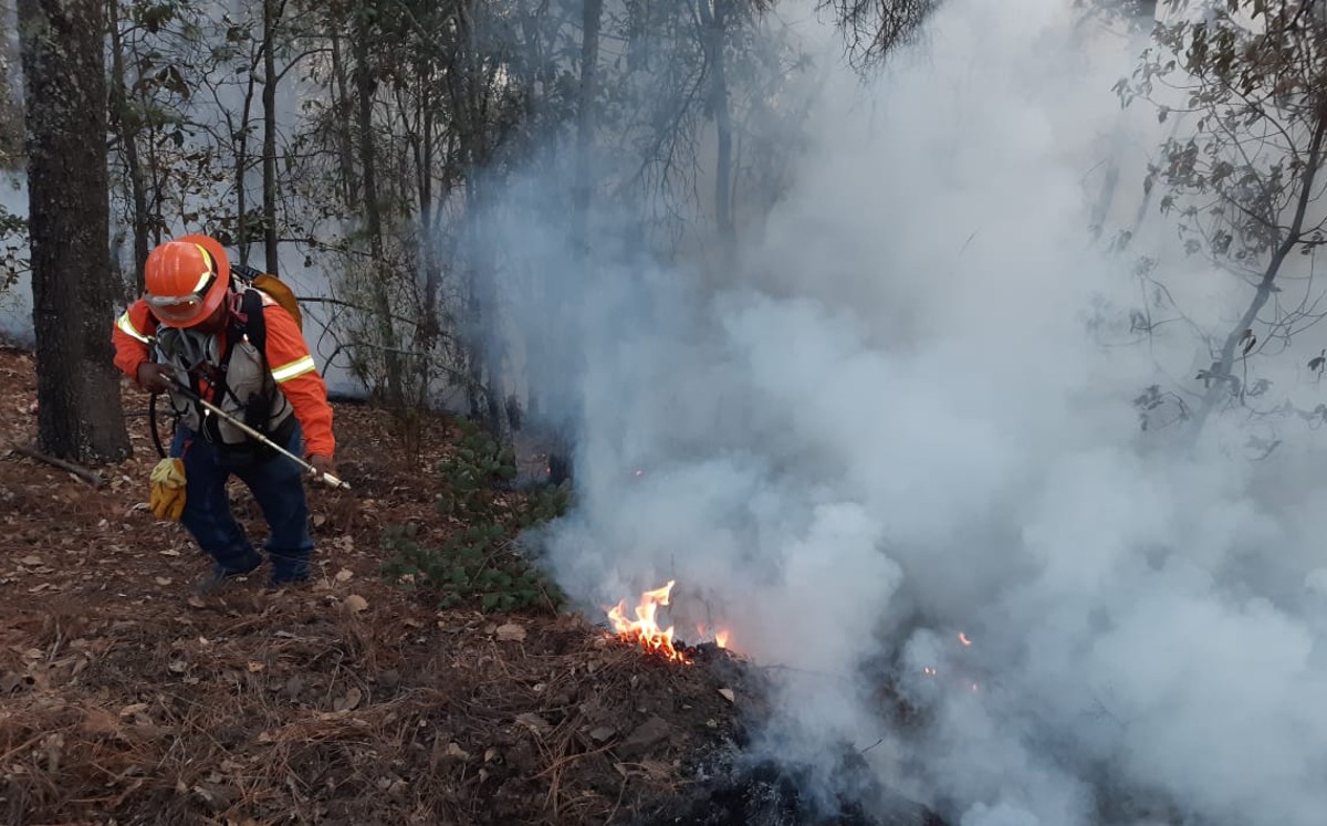 Guanajuato tiene 52% de hectáreas afectadas por incendios forestales