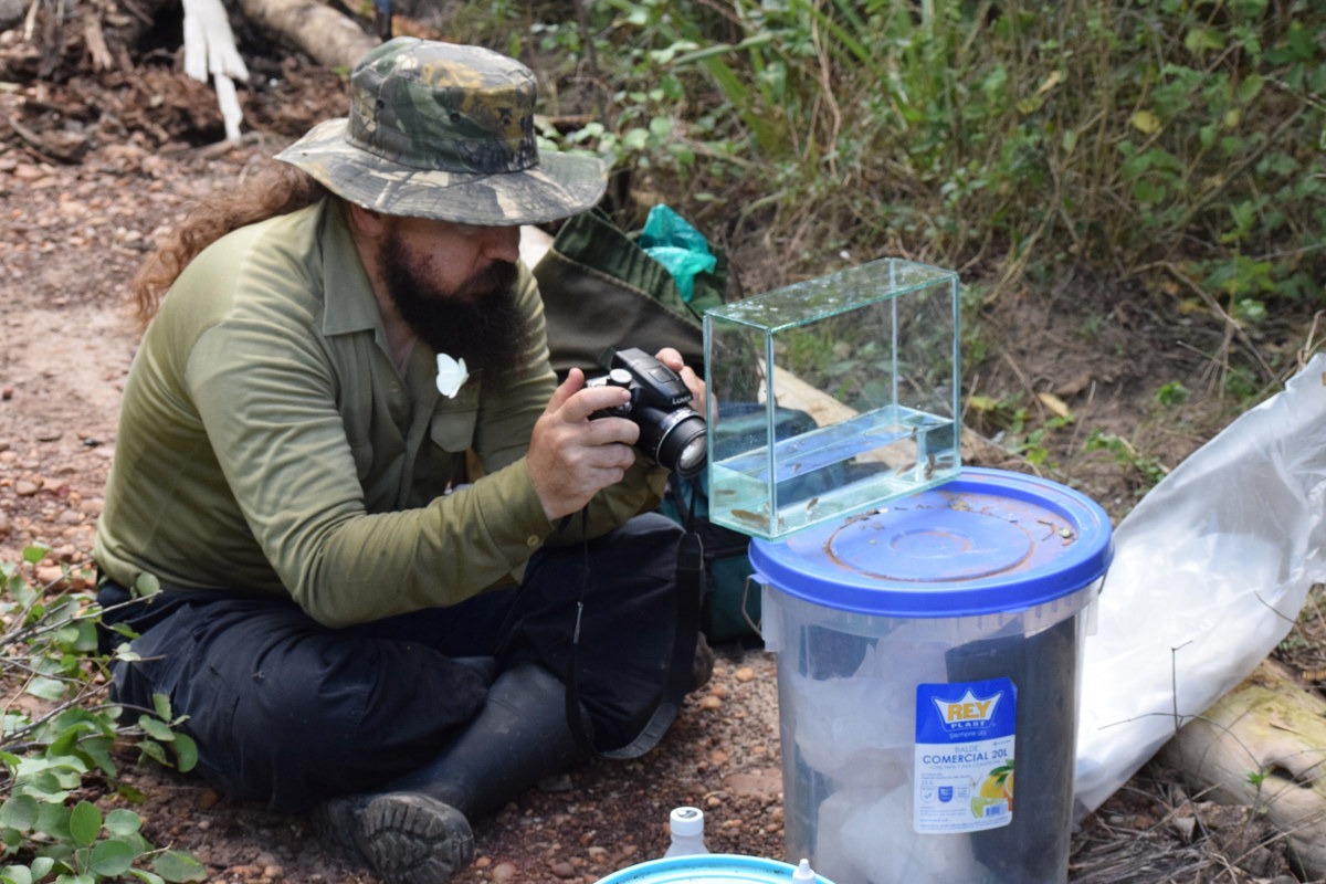 Hallan en Bolivia un pez que sobrevive fuera del agua