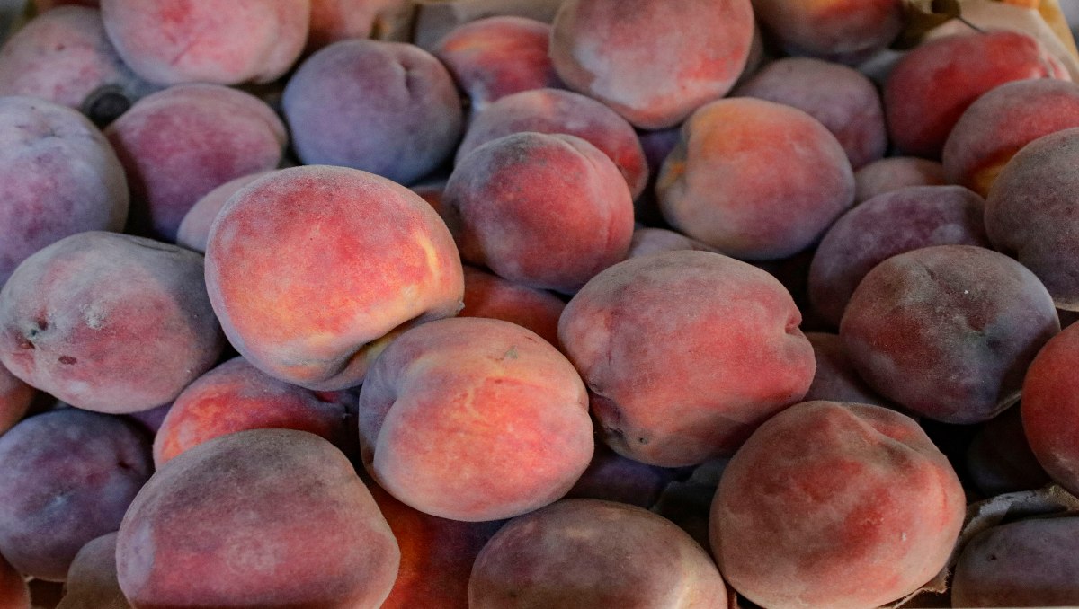 Fruta para chile en nogada | Agencia Enfoque