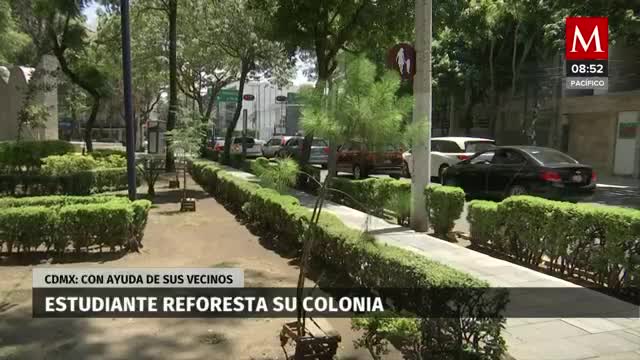 Estudiante reforesta la colonia del Valle