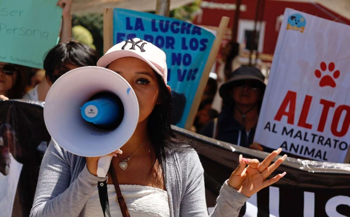 Exigen justicia ante maltrato animal en Atlixco, Puebla | Andrés Lobato