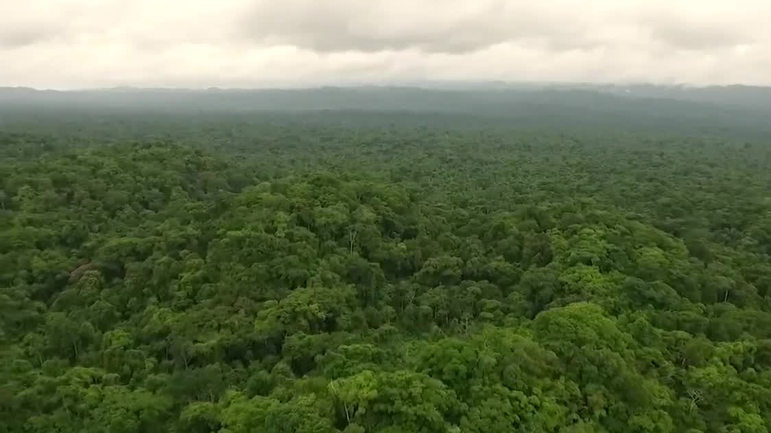 Gobernador de Chiapas entrega apoyos al 'Programa por Servicios Ambientales'